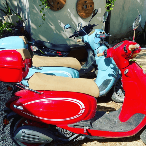 Discover Playa del Carmen on two wheels!
