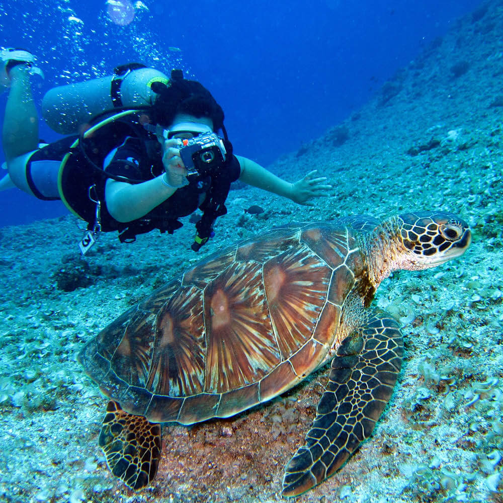 Introductory diving