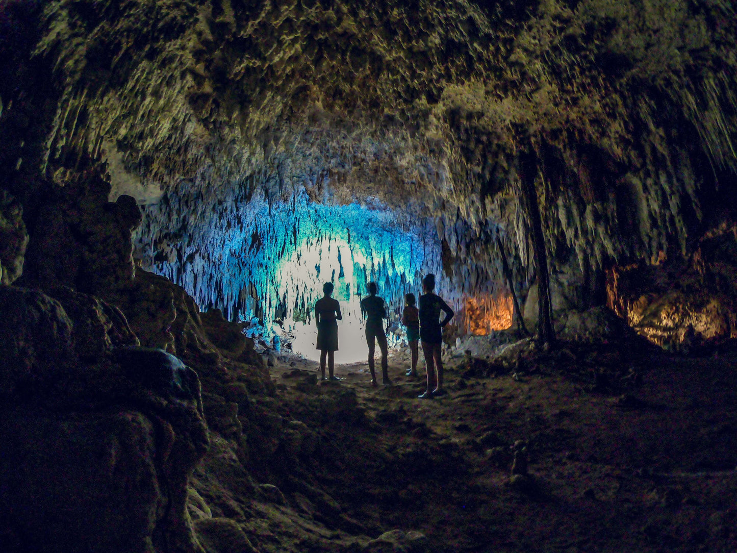 Snorkel con tortugas y cenote