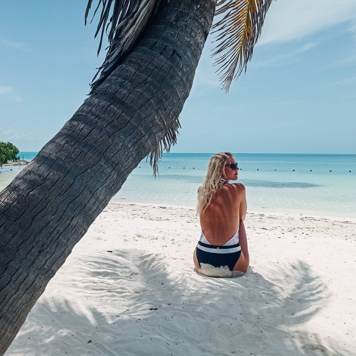 Isla Contoy & Isla Mujeres Tour