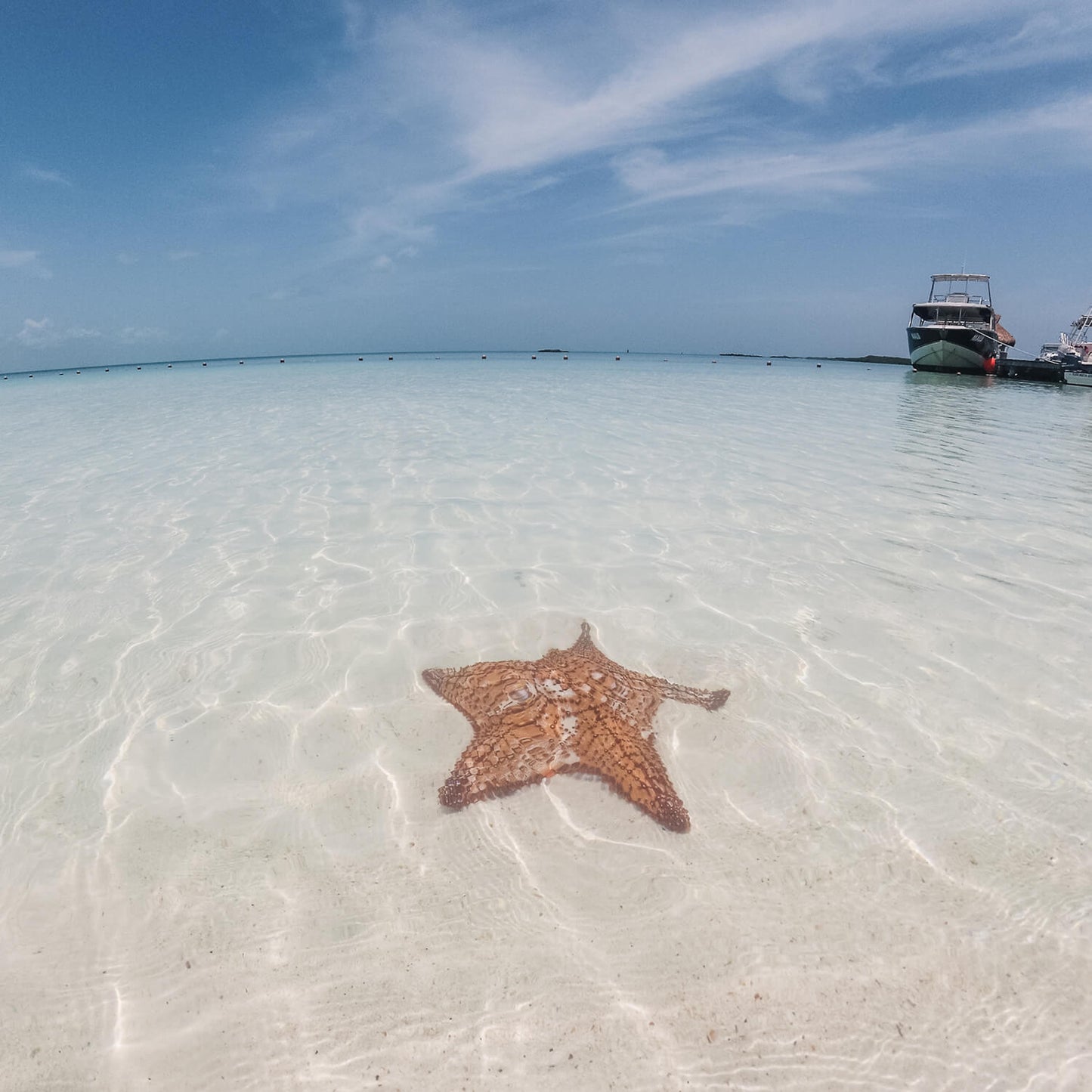 Isla Contoy & Isla Mujeres Tour
