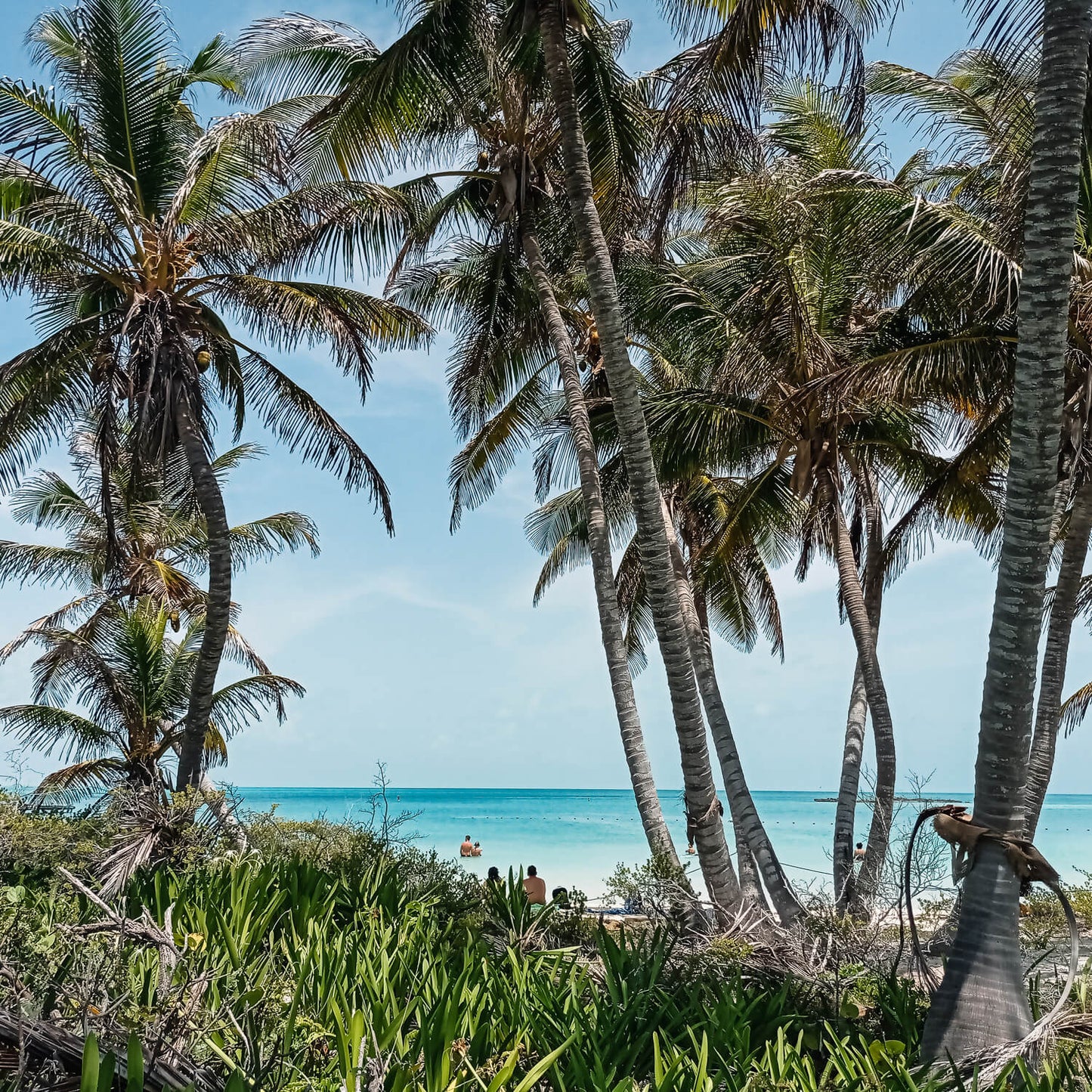 Isla Contoy & Isla Mujeres Tour