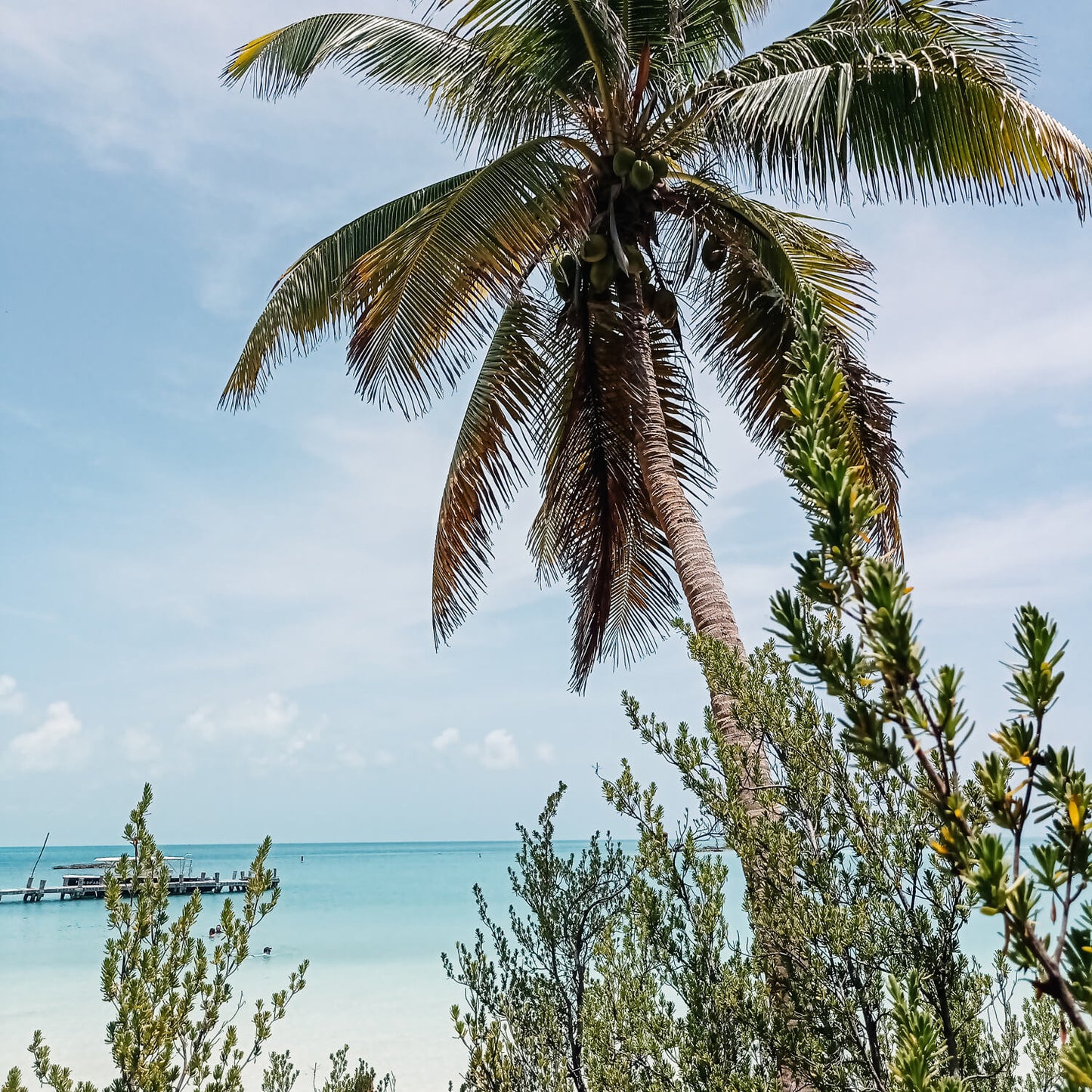 Isla Contoy & Isla Mujeres Tour