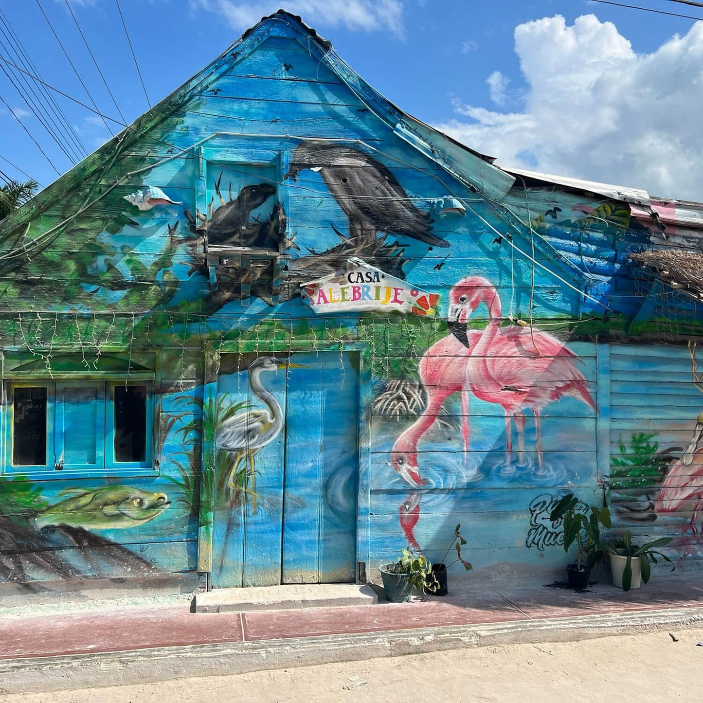 Tour a la Isla Holbox