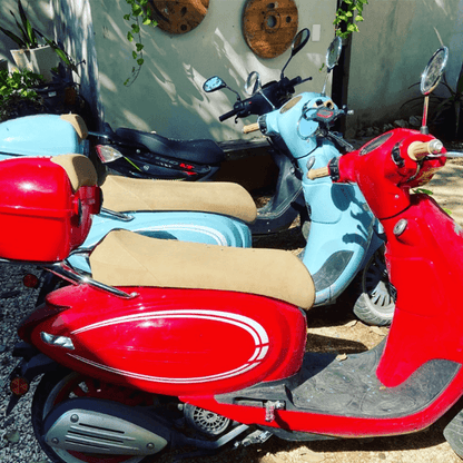 Discover Playa del Carmen on two wheels!