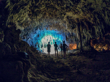Snorkel con tortugas y cenote