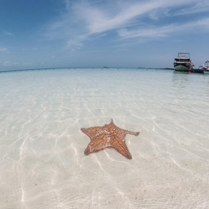 Isla Contoy &amp; Isla Mujeres Tour