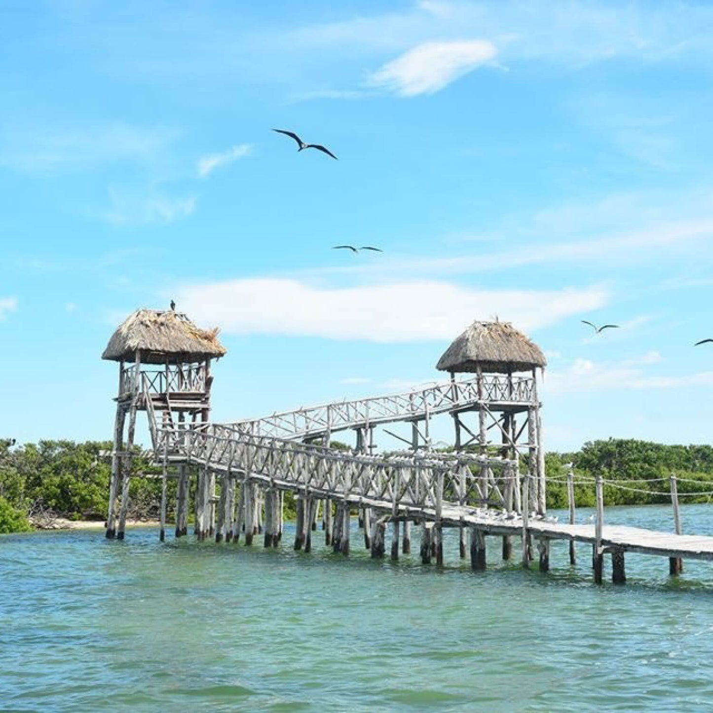 Isla Holbox Tour