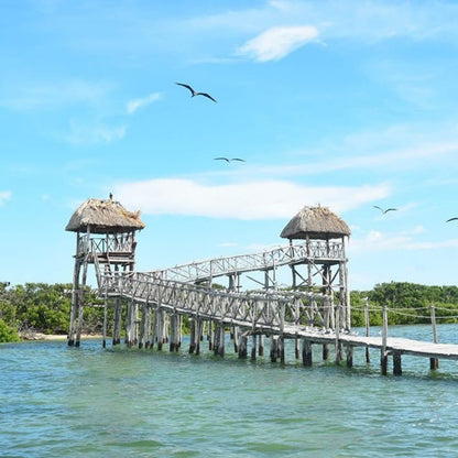 Isla Holbox Tour