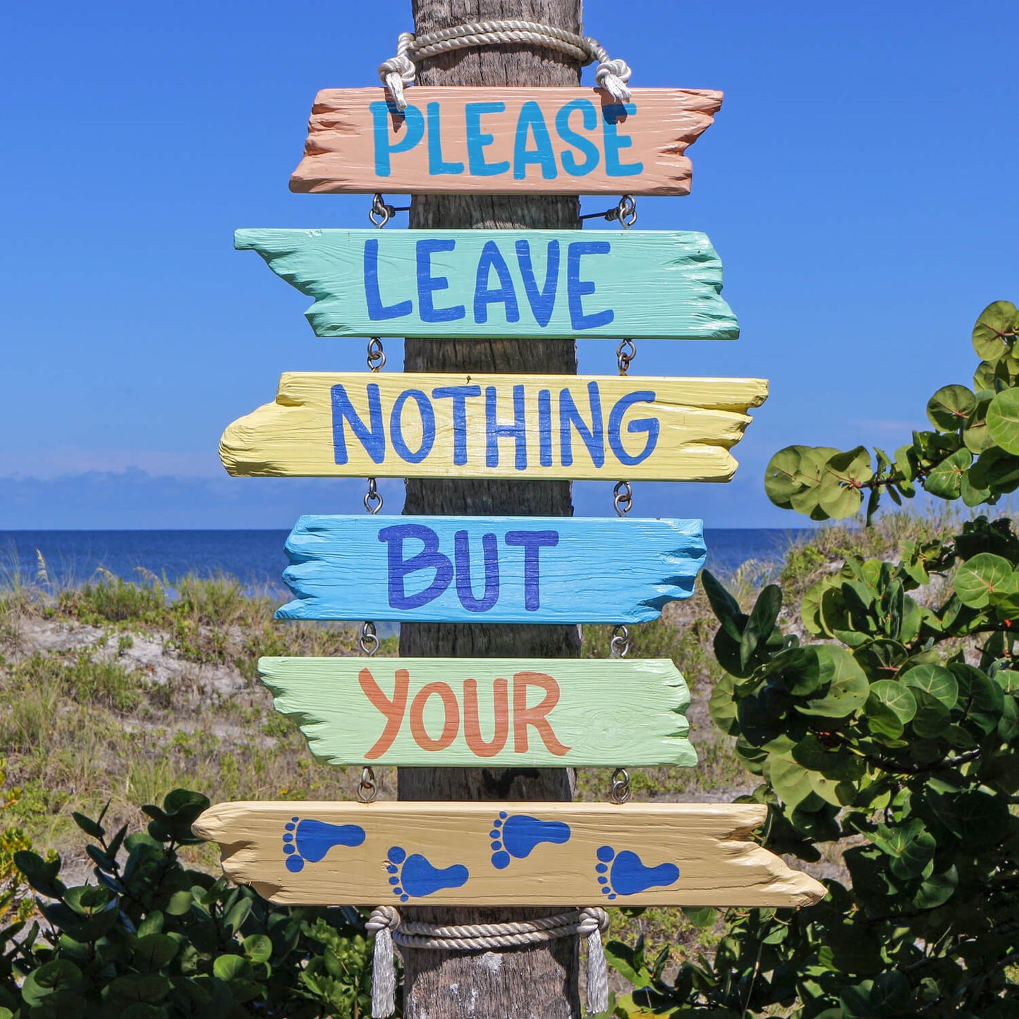 Isla Holbox Tour