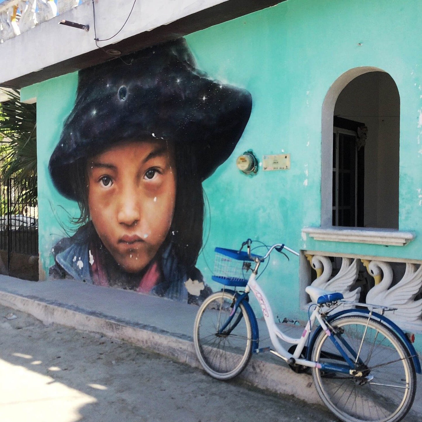 Isla Holbox Tour
