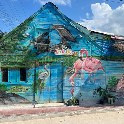 Isla Holbox Tour