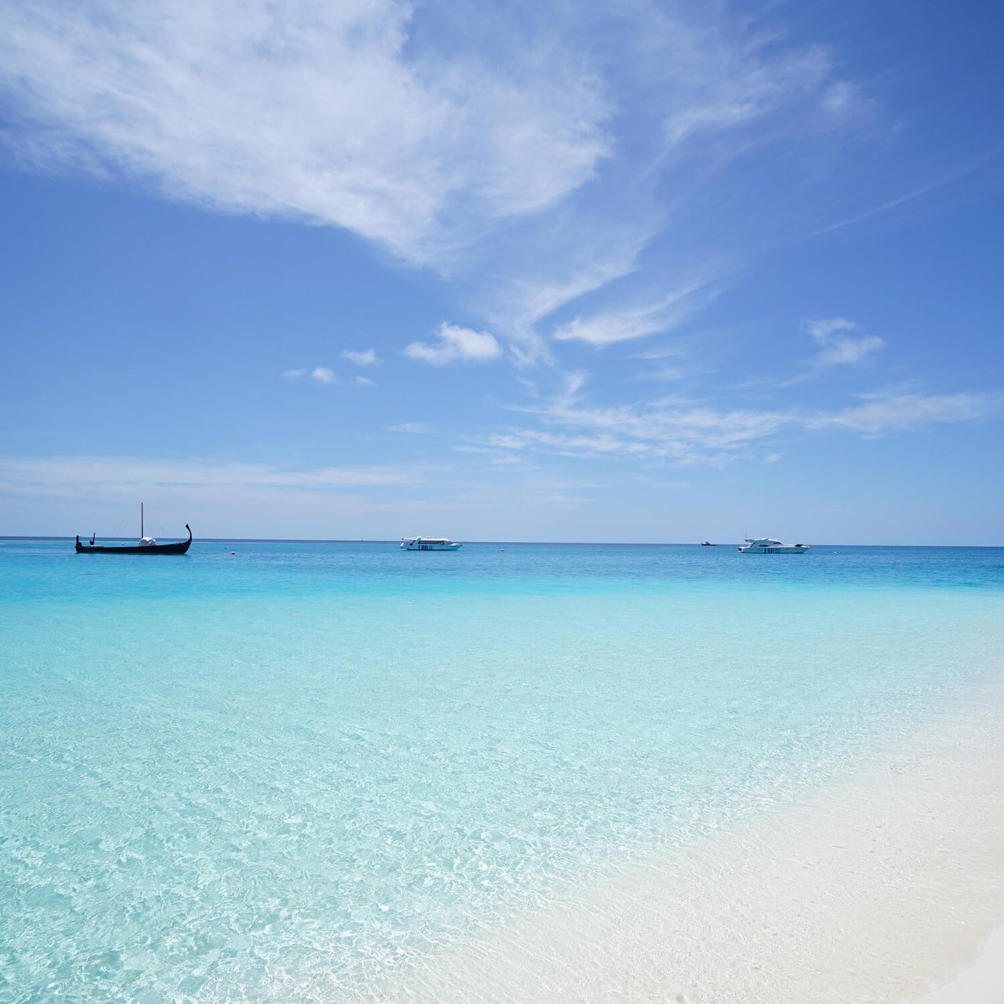 Isla Holbox Tour